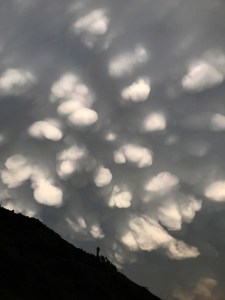 mamatus
