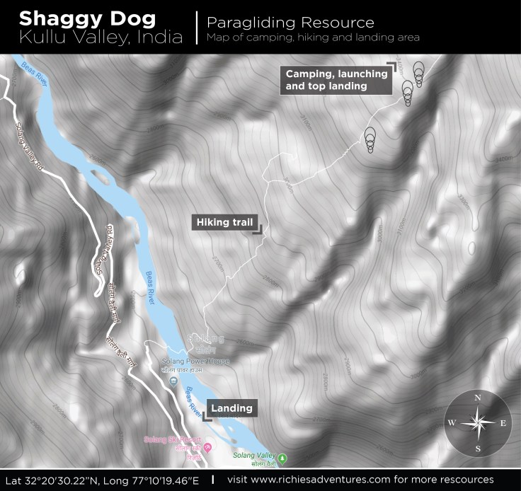 shaggy_dog_how_to_2-01